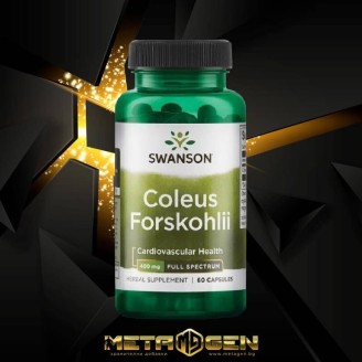 Swanson Coleus Forskohlii 400 мг / 60 капсули на супер цена Добавки на растителна и билкова основа
