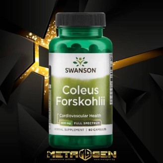 Swanson Full Spectrum Coleus Forskohlii 60 капсули на супер цена Фет бърнъри