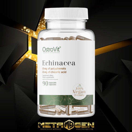 OstroVit Echinacea 400 mg / Vege 90 капсули на изгодни цени OstroVit Echinacea 400 mg / Vege 90 капсули на супер цена Имуностимулатори