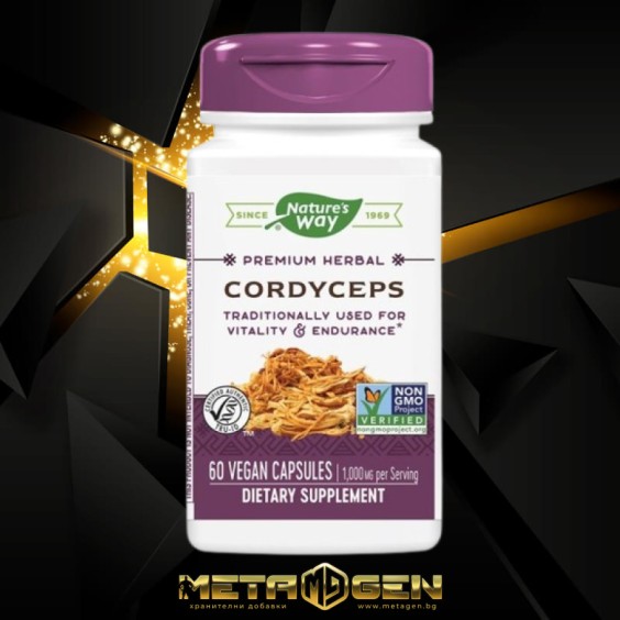 Natures Way Cordyceps/ Кордицепс 500 mg х 60 капсули на изгодни цени Natures Way Cordyceps/ Кордицепс 500 mg х 60 капсули на супер цена Адаптогени, Ашваганда
