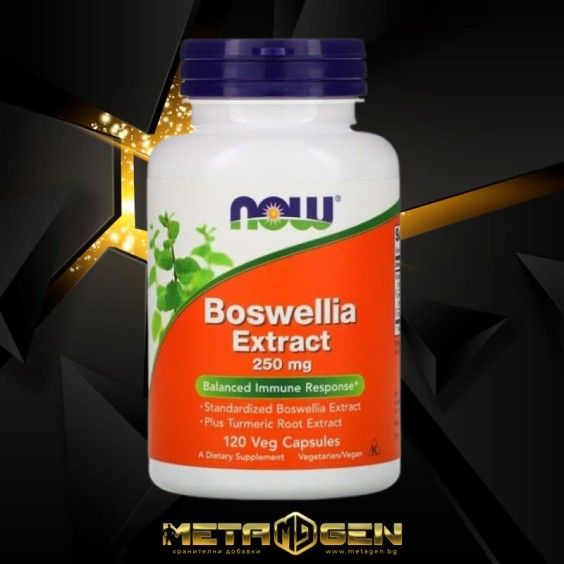 NOW Boswellia Extract 250 mg /120 Veg Capsules на изгодни цени NOW Boswellia Extract 250 mg /120 Veg Capsules на супер цена Добавки на растителна и билкова основа
