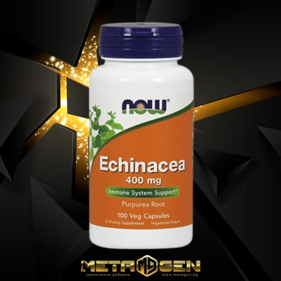 NOW Echinacea 400 мг / 100 капсули на изгодни цени NOW Echinacea 400 мг / 100 капсули на супер цена Имуностимулатори