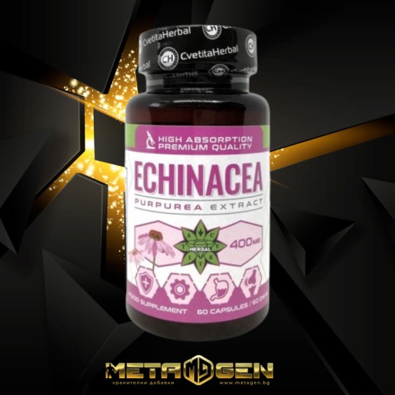 Cvetita Herbal Echinacea (Ехинацея) - 60 капсули х 400 мг на изгодни цени Cvetita Herbal Echinacea (Ехинацея) - 60 капсули х 400 мг на супер цена Имуностимулатори