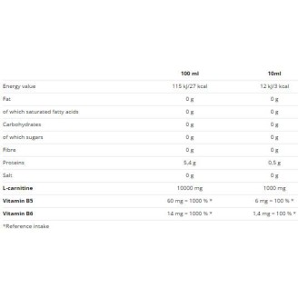 Nutrend Carnitine 100 000 / 1000 мл на супер цена Л Карнитин
